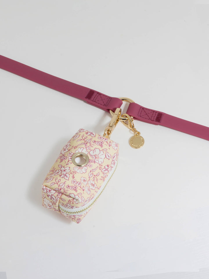 Cloud Hands-Free Convertible Leash