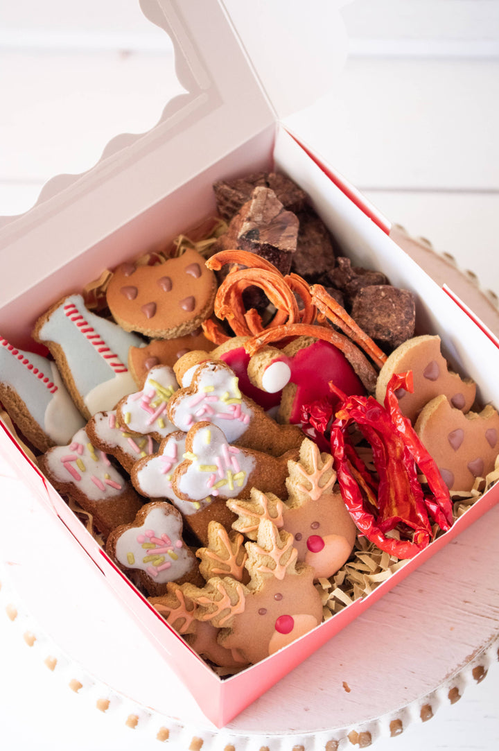 Cookies for Santa Paws Holiday Barkuterie Box