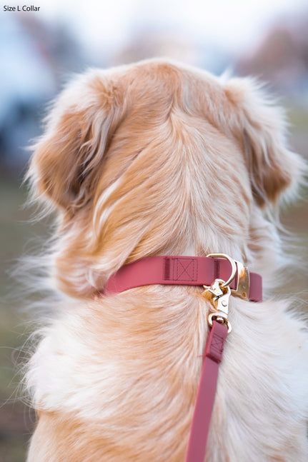 Cloud Waterproof Collar