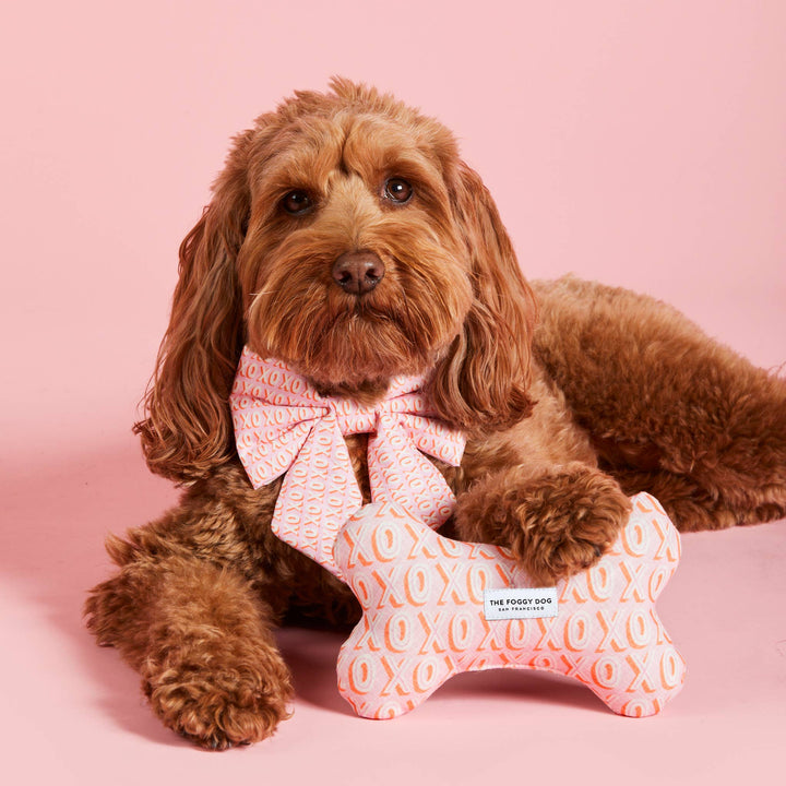Hugs and Kisses Dog Bone Squeaky Toy