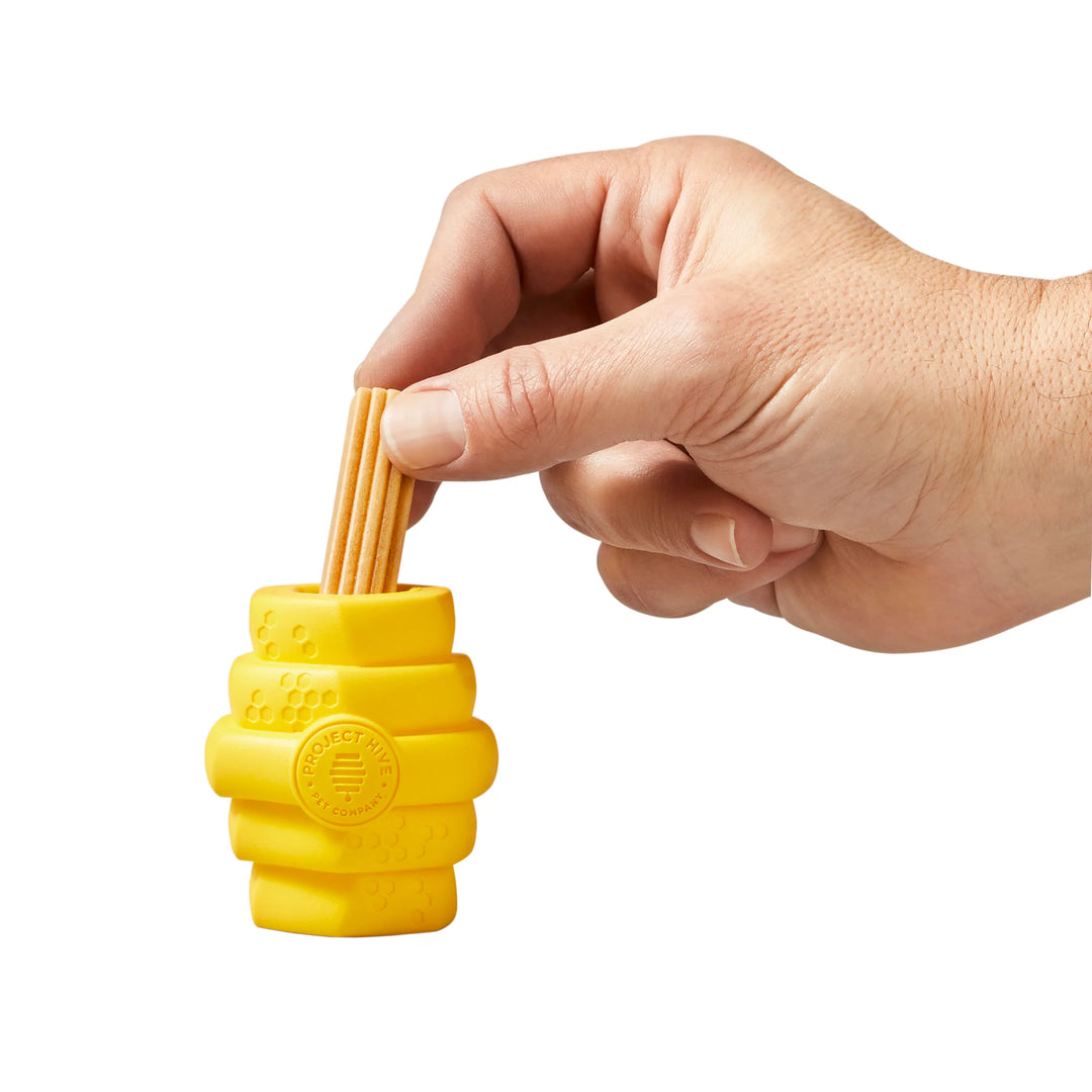 Hive Chew Toy
