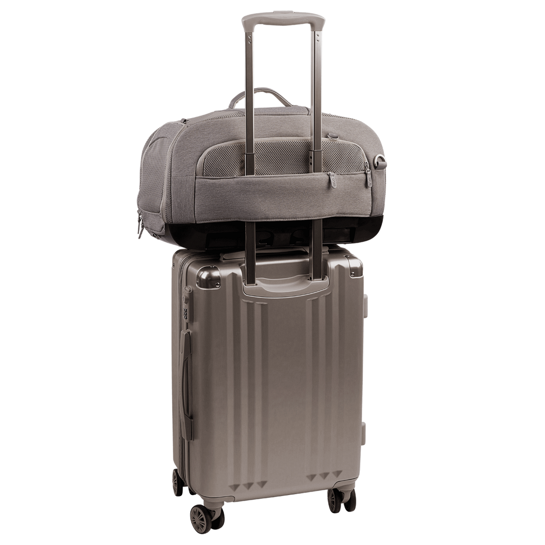 Dupree + Roscoe - Crash Tested Pet Travel System