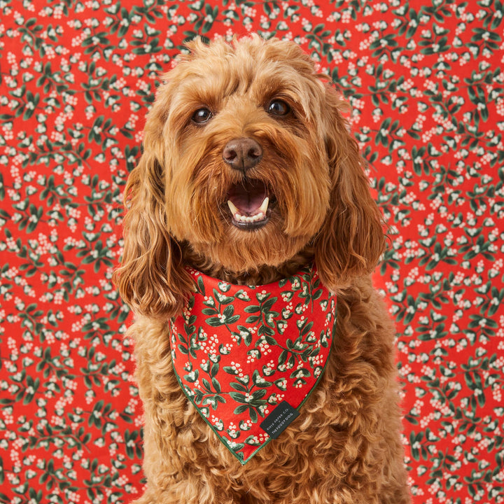 Rifle Paper Co. x TFD Mistletoe Bandana