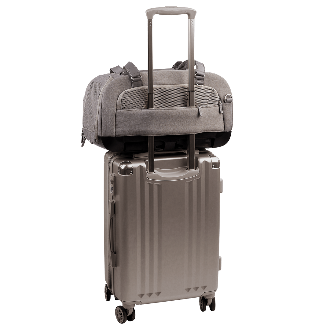 Dupree + Roscoe - Crash Tested Pet Travel System