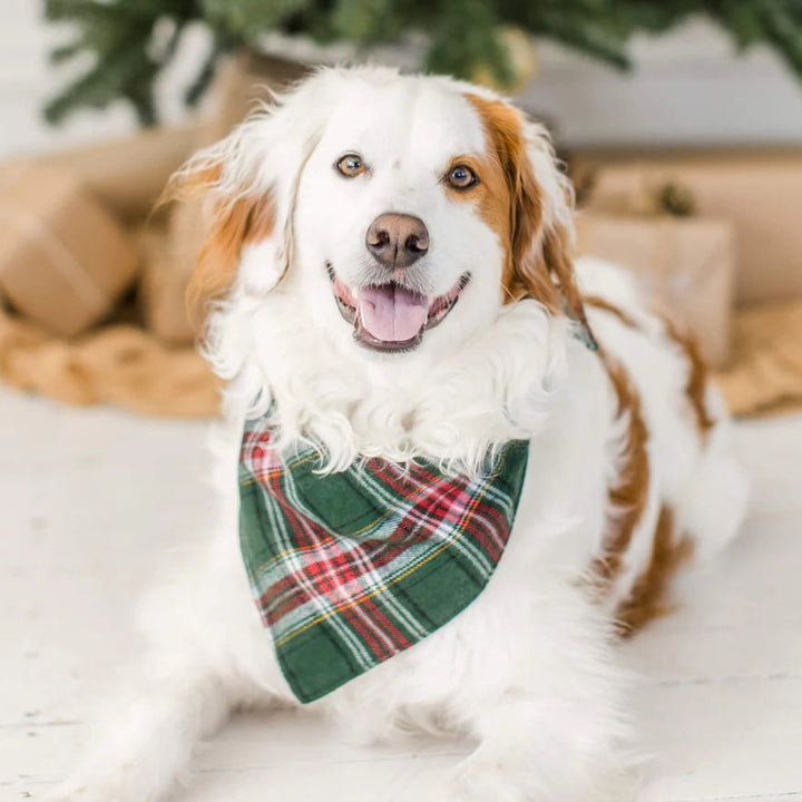 Holly Jolly Flannel Holiday Bandana