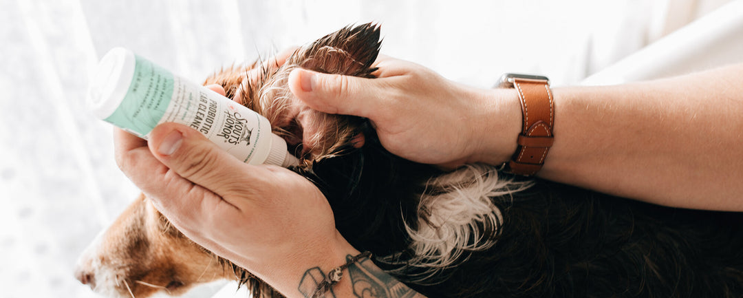Probiotic Ear Cleaner for Dogs & Cats (4 oz)