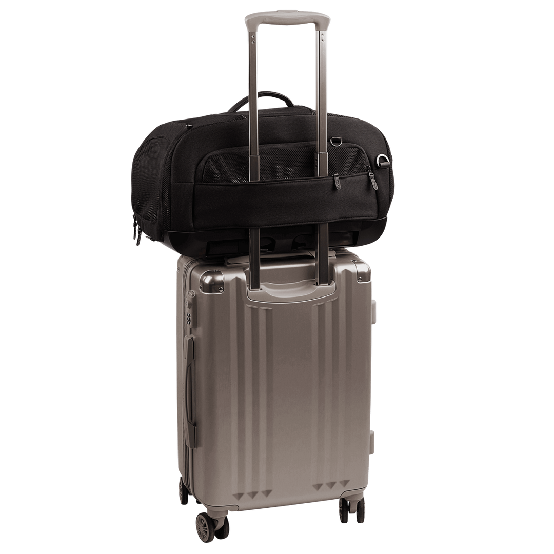 Dupree + Roscoe - Crash Tested Pet Travel System