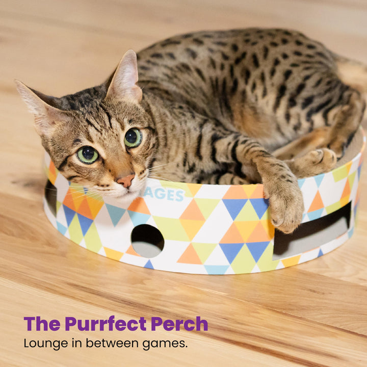 Bowl Track Scratcher