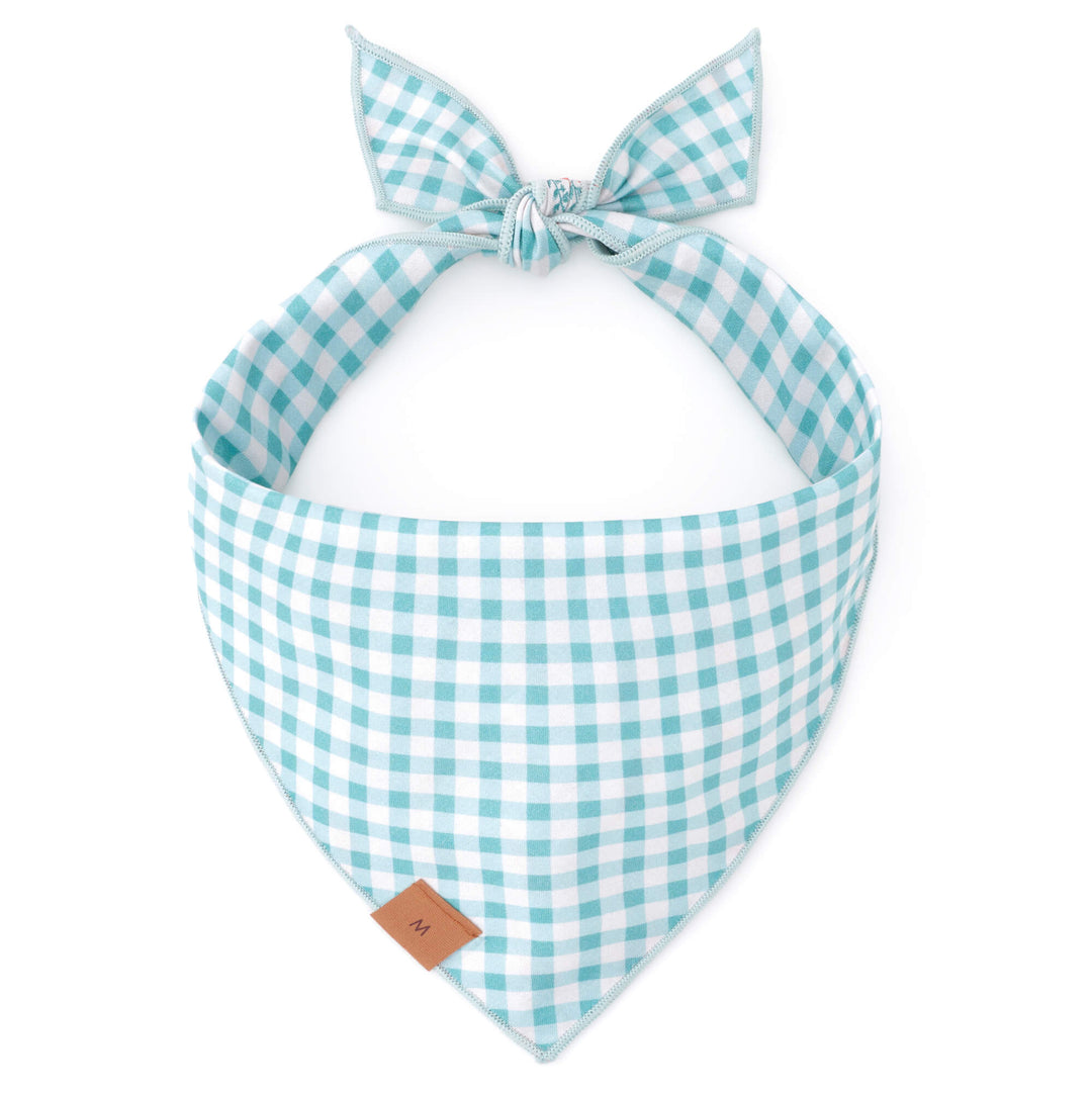 Carrot Patch Easter Reversible Bandana