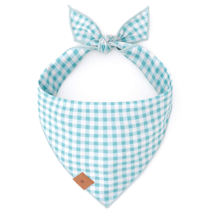 Carrot Patch Easter Reversible Bandana