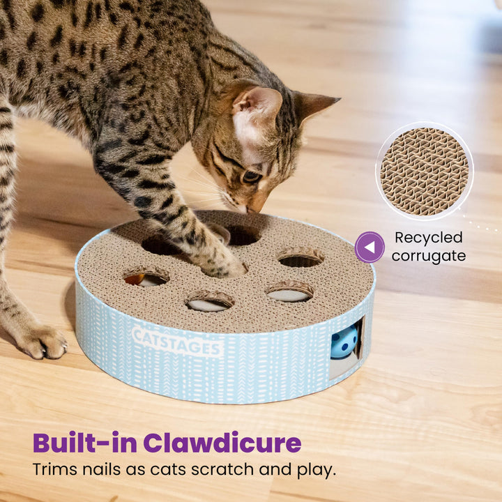 Scratch N’ Hunt Puzzle