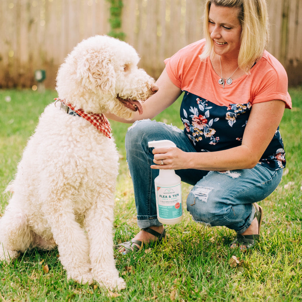 Flea & Tick Spray for Pets + Home with Natural Essential Oils