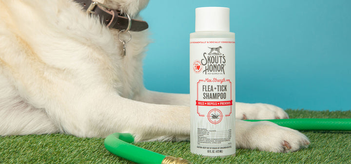 Flea & Tick Shampoo for Dogs