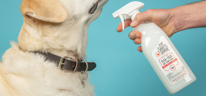 Flea & Tick Spray for Dog + Home