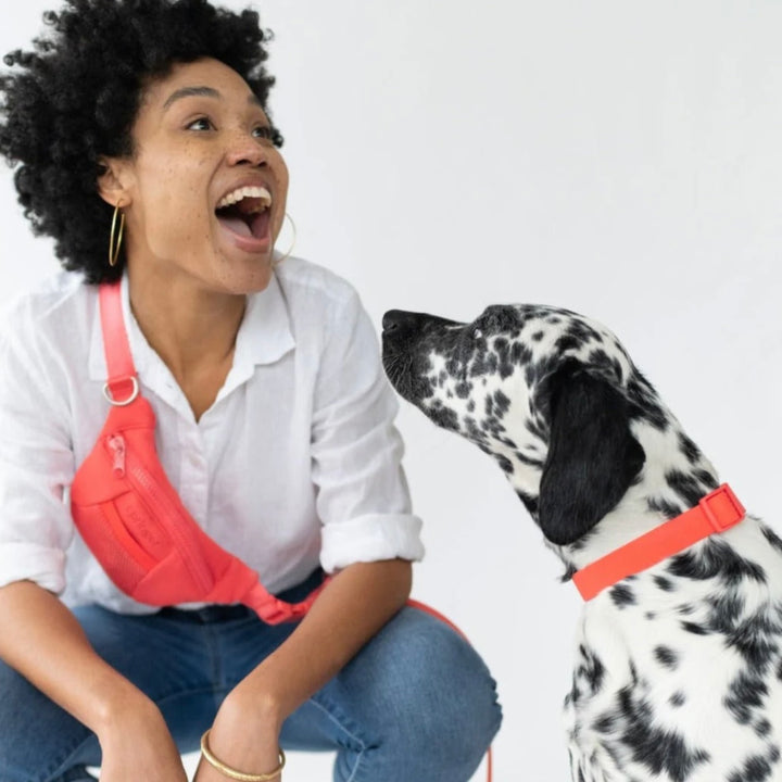 Sling Bag + Dog Leash Set