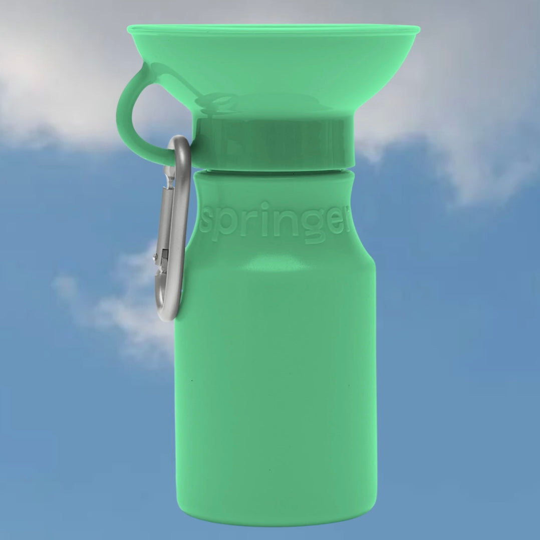 Mini Travel Water Bottle (15 oz)
