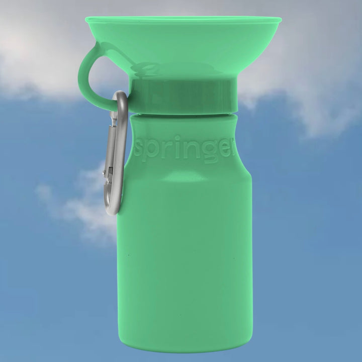 Mini Travel Water Bottle (15 oz)