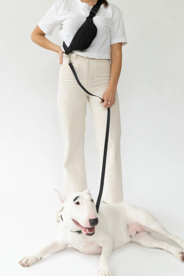 Sling Bag + Dog Leash Set