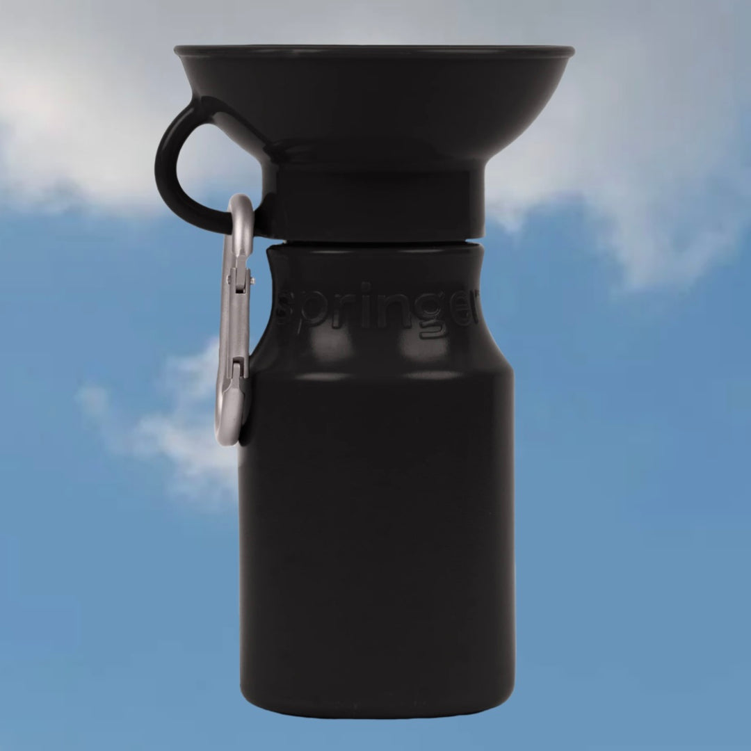 Mini Travel Water Bottle (15 oz)
