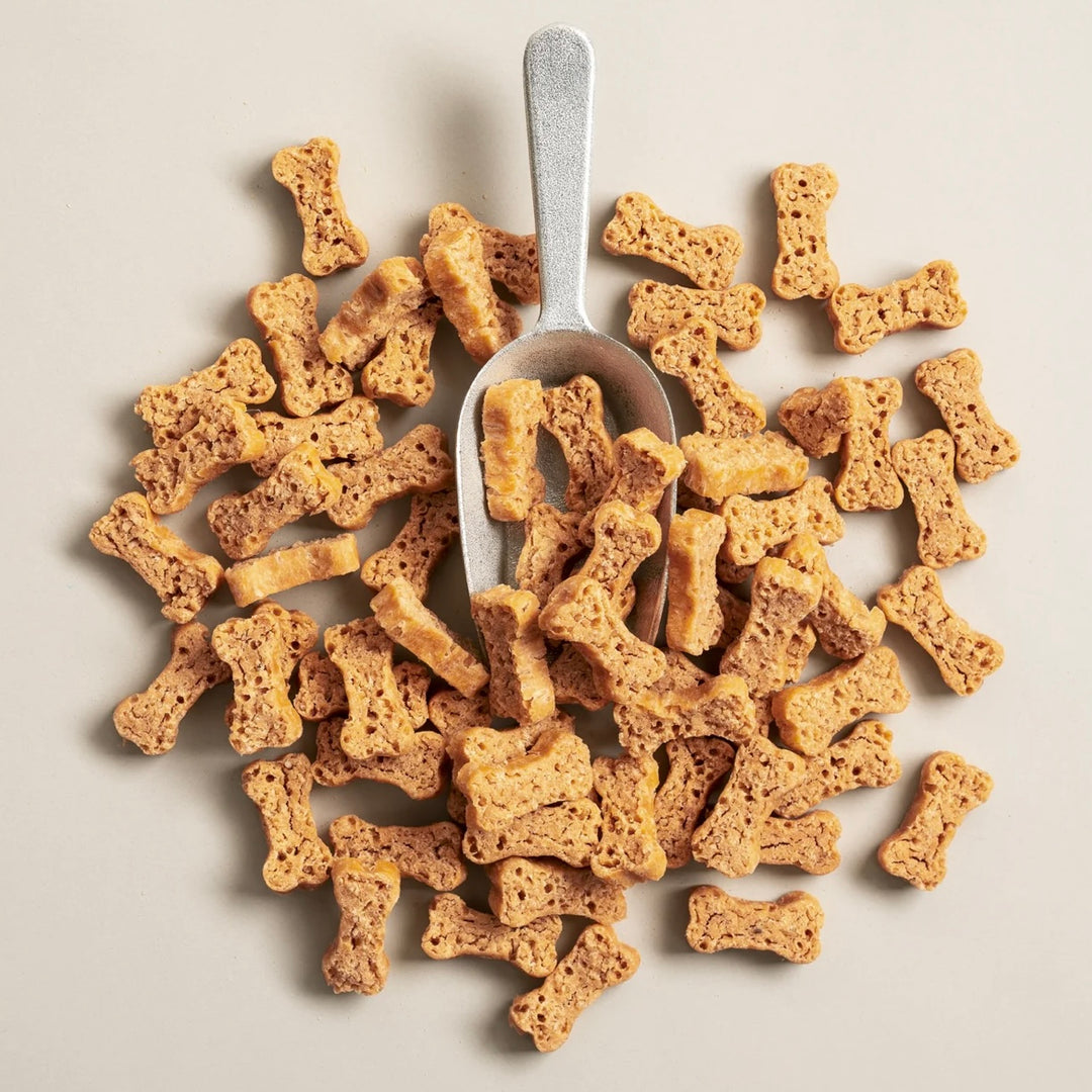 Salmon Says Crunchy Bones for Dogs & Cats (8oz)