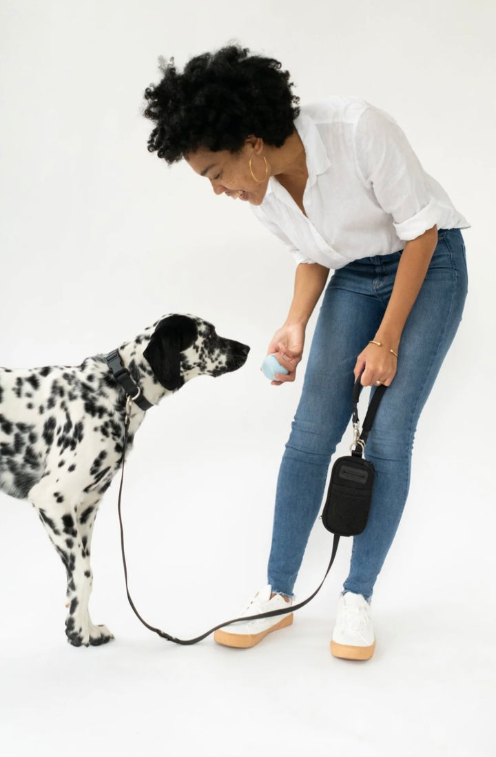 Walk Bag + Dog Leash Set
