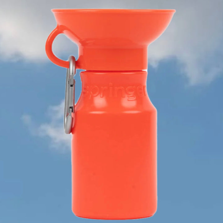 Mini Travel Water Bottle (15 oz)