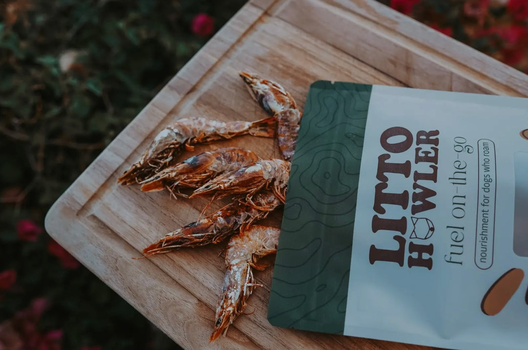 White Shrimp - 10 Count
