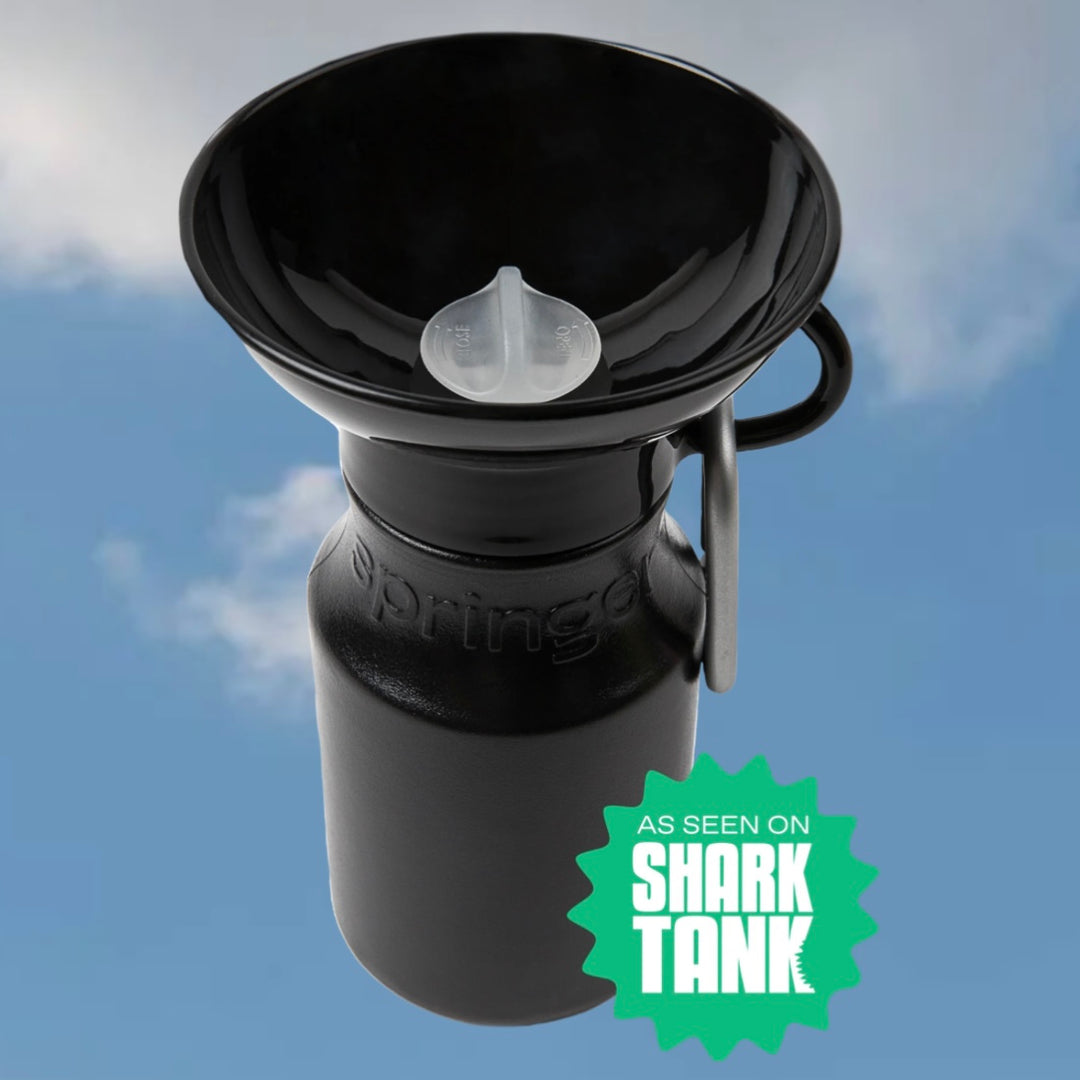 Mini Travel Water Bottle (15 oz)