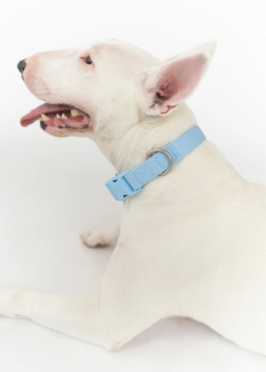Springer Collar