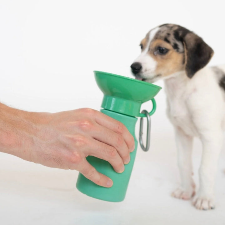 Mini Travel Water Bottle (15 oz)