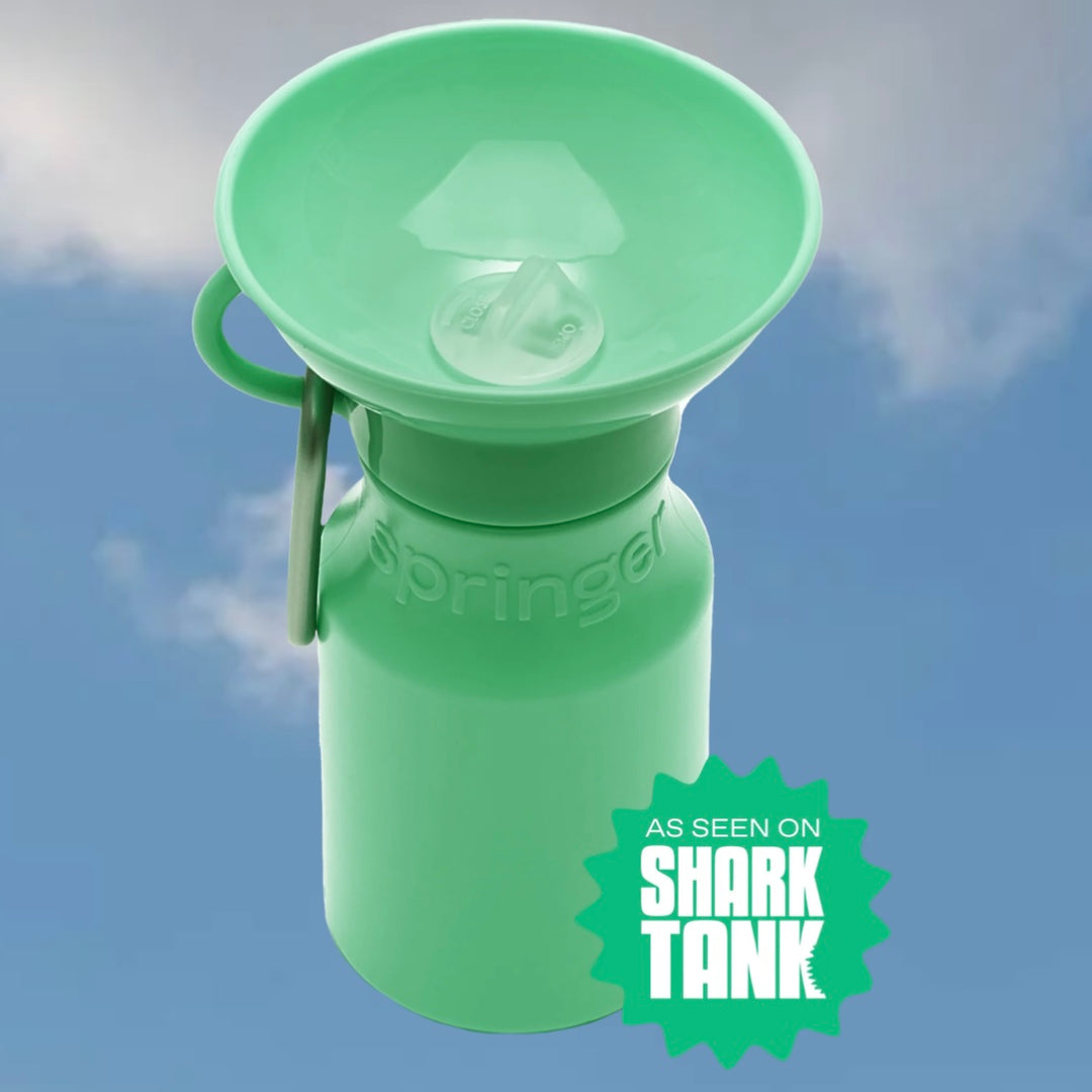 Mini Travel Water Bottle (15 oz)