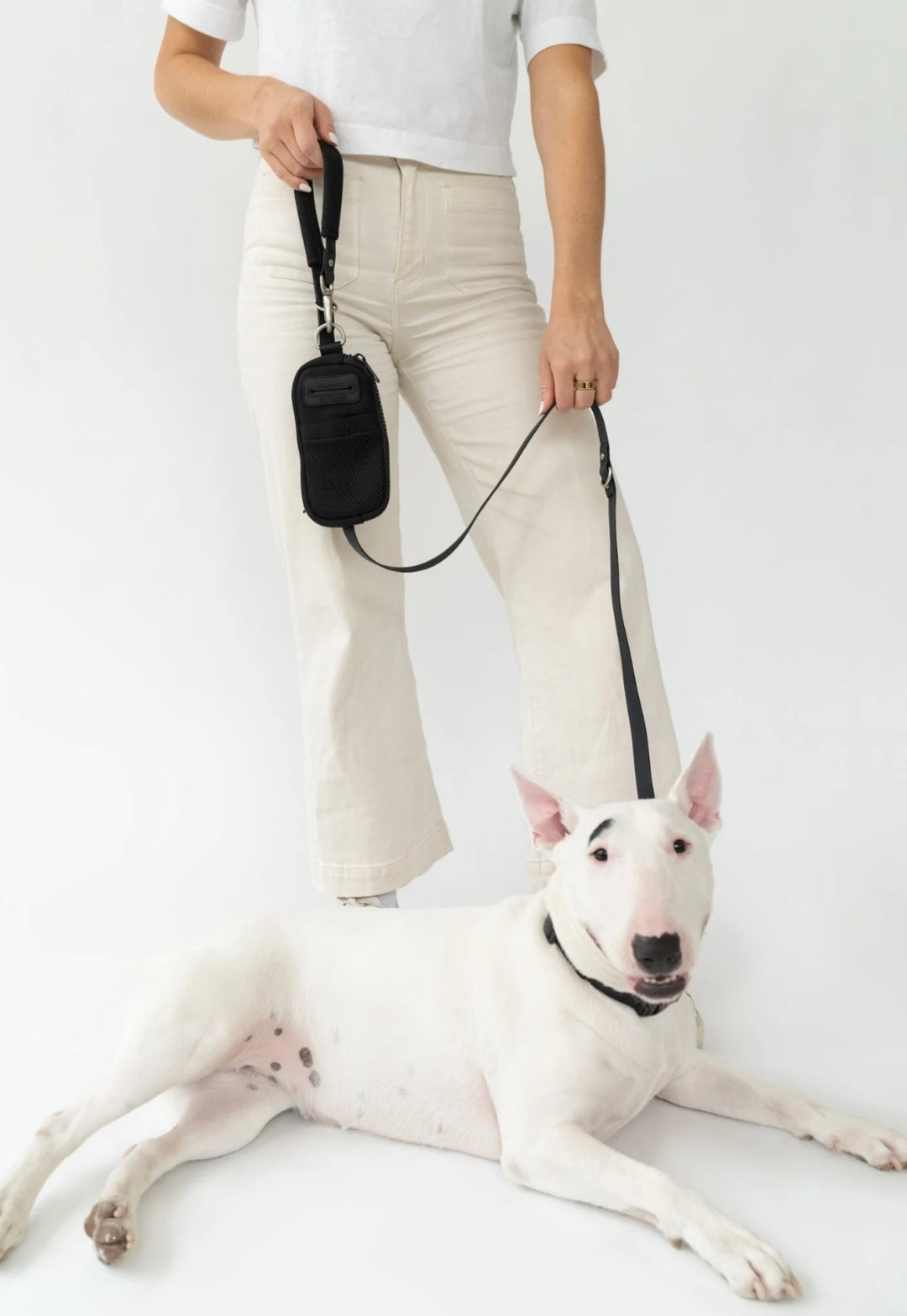 Walk Bag + Dog Leash Set