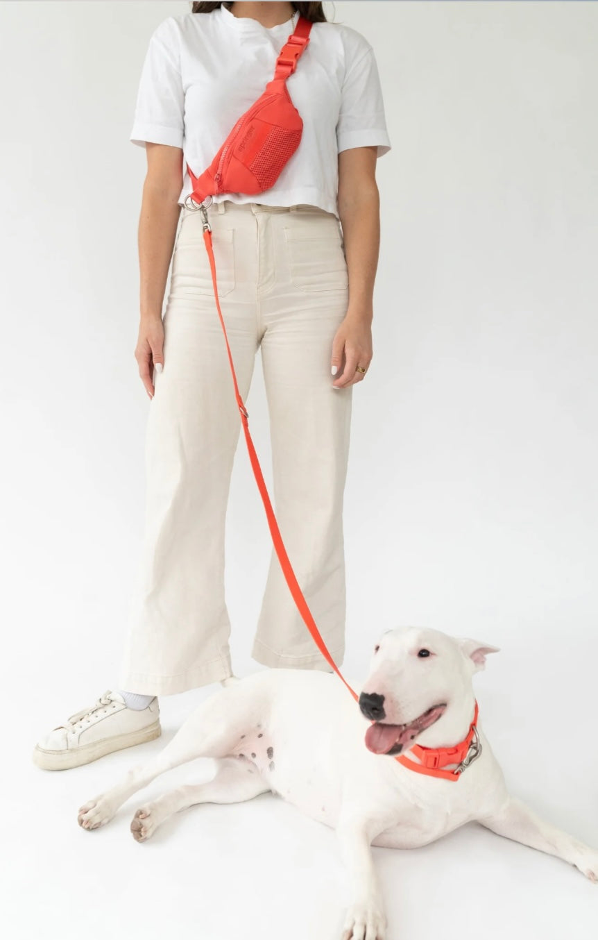 Sling Bag + Dog Leash Set