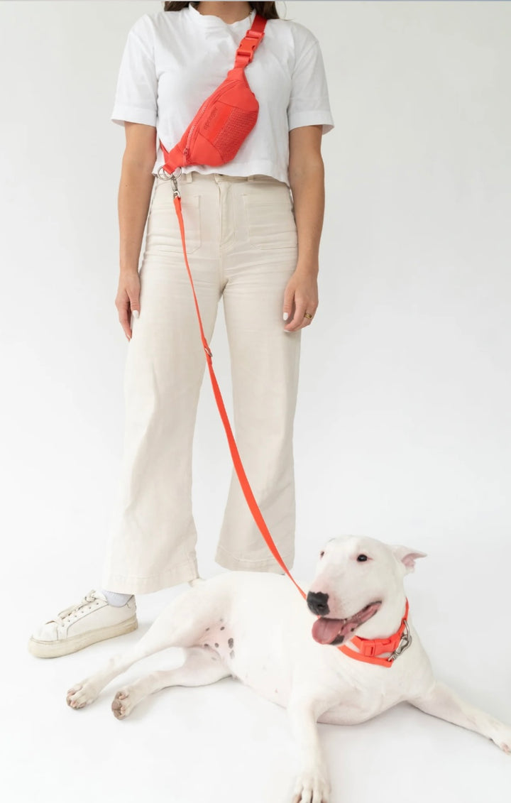 Sling Bag + Dog Leash Set