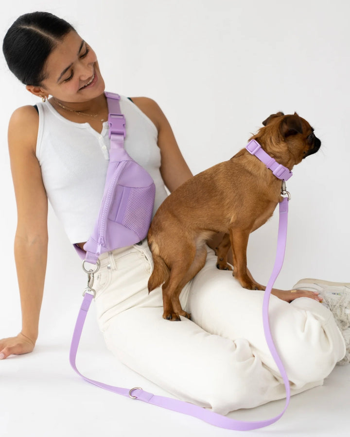 Sling Bag + Dog Leash Set