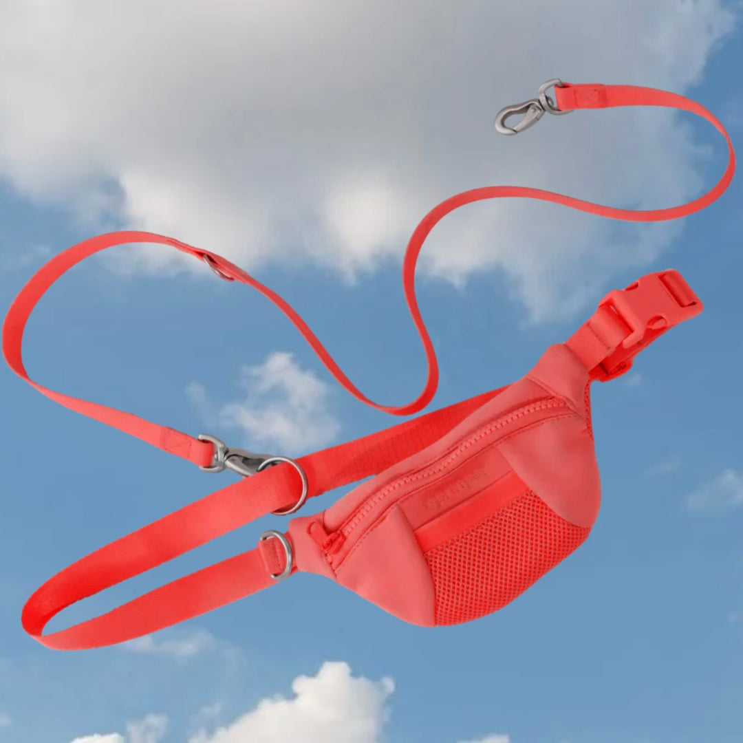 Sling Bag + Dog Leash Set
