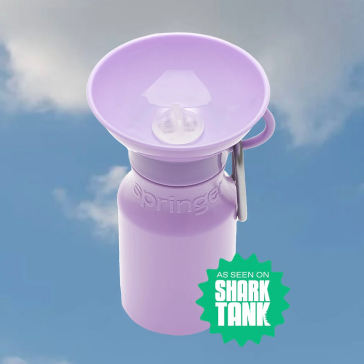 Mini Travel Water Bottle (15 oz)