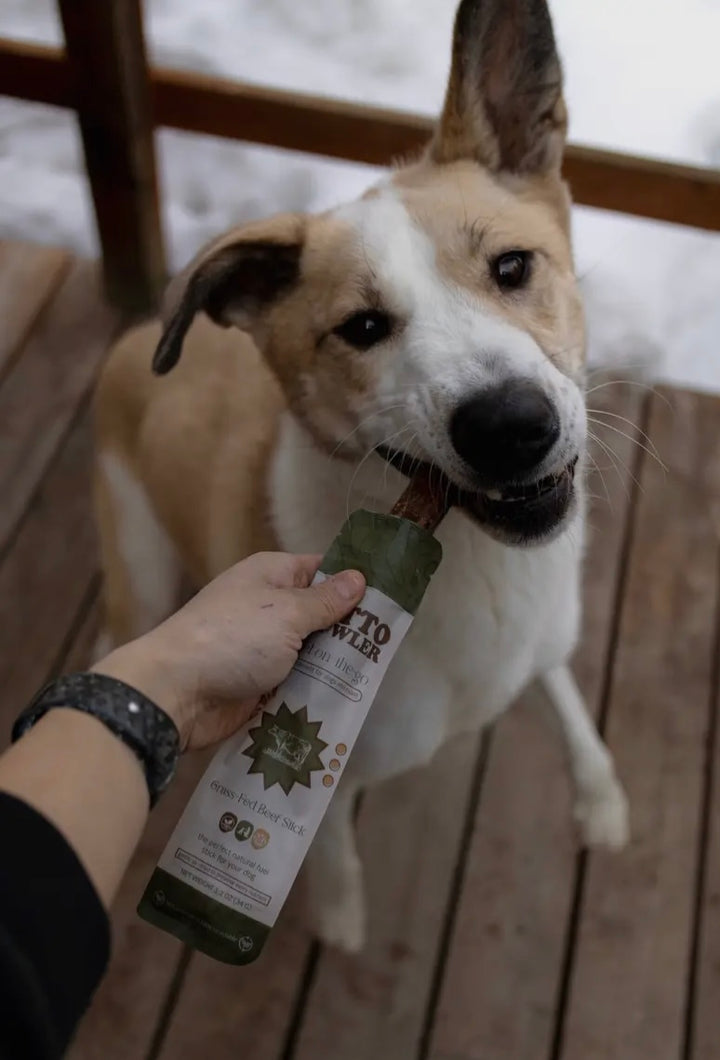 Grass-Fed Beef Sticks