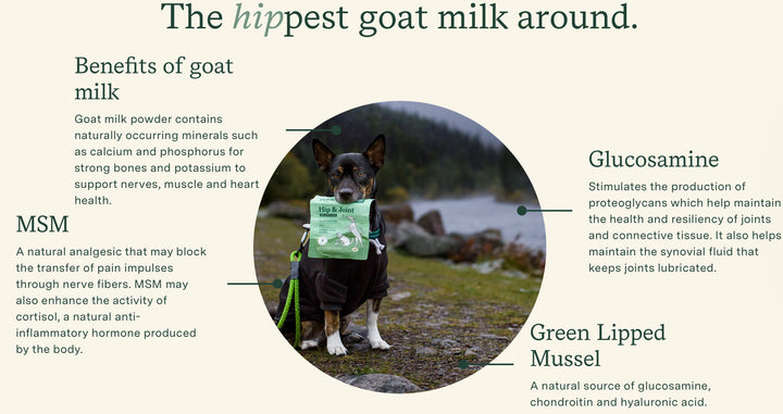 Hip + Joint Goat Milk Topper for Dogs & Cats