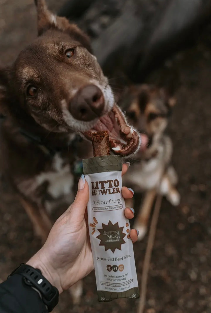 Grass-Fed Beef Sticks