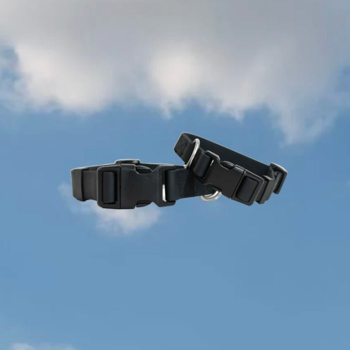Springer Collar