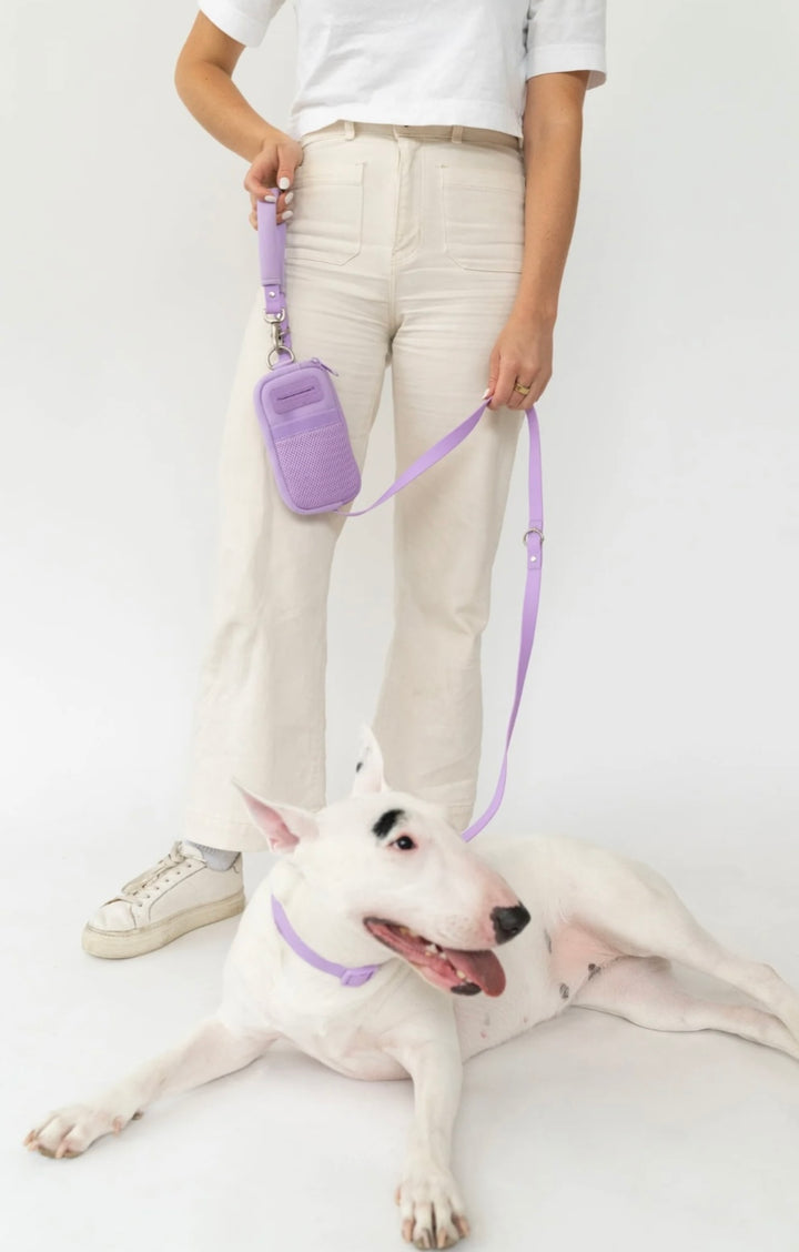 Walk Bag + Dog Leash Set