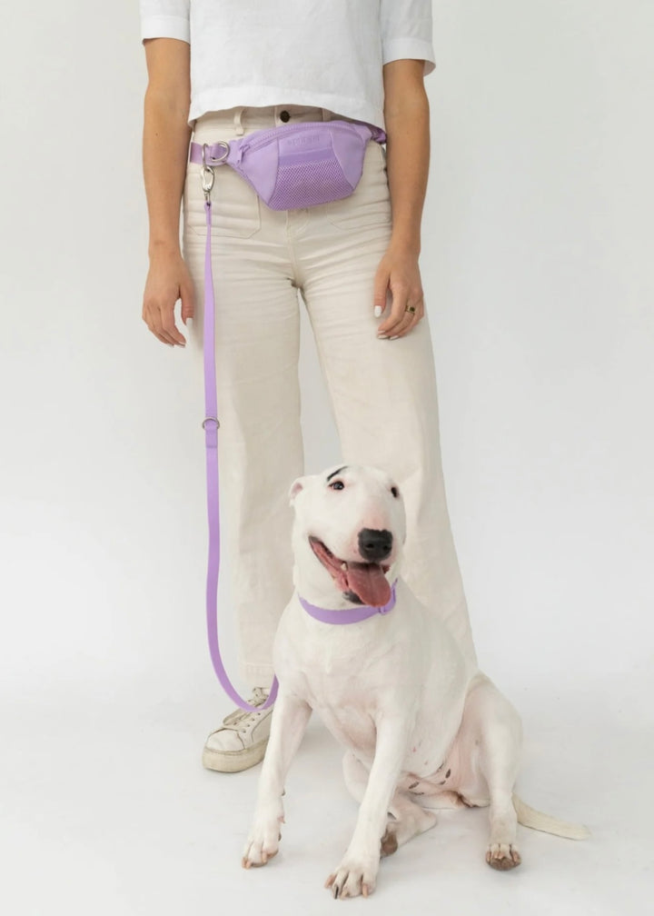 Sling Bag + Dog Leash Set