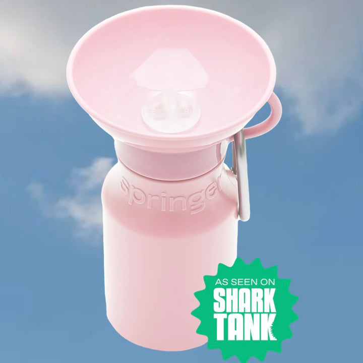 Mini Travel Water Bottle (15 oz)