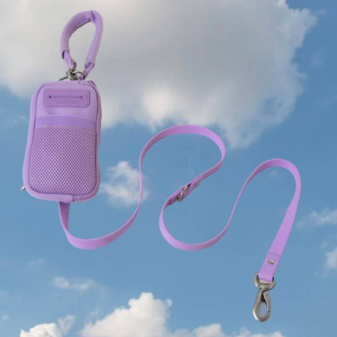 Walk Bag + Dog Leash Set