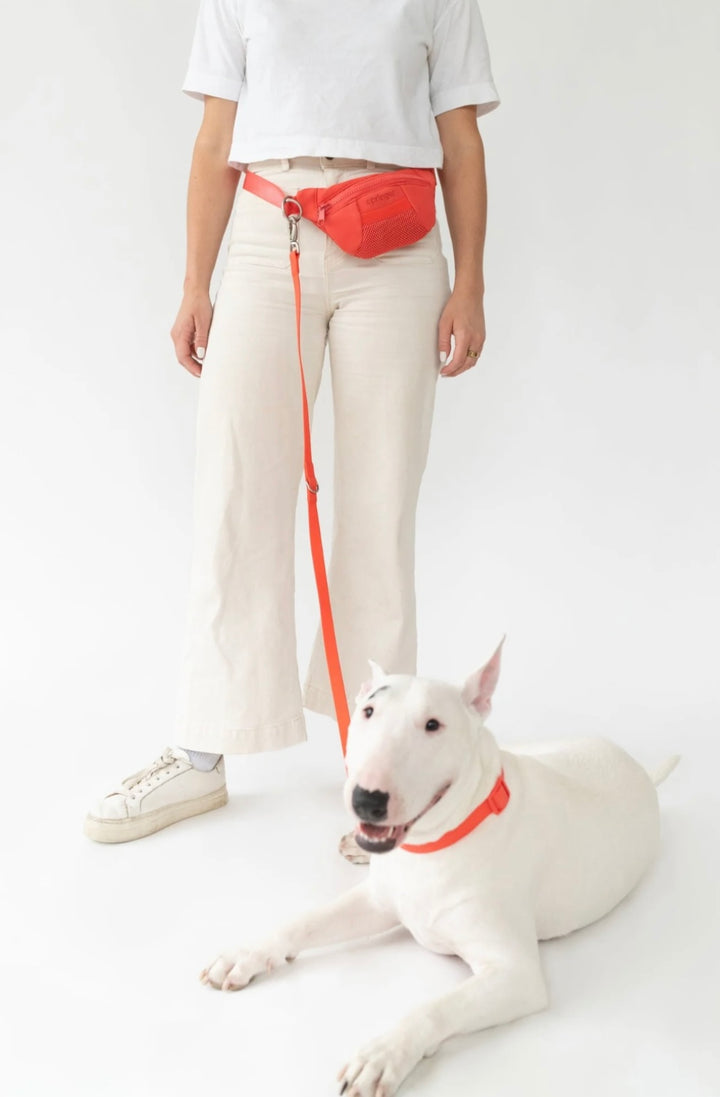 Sling Bag + Dog Leash Set