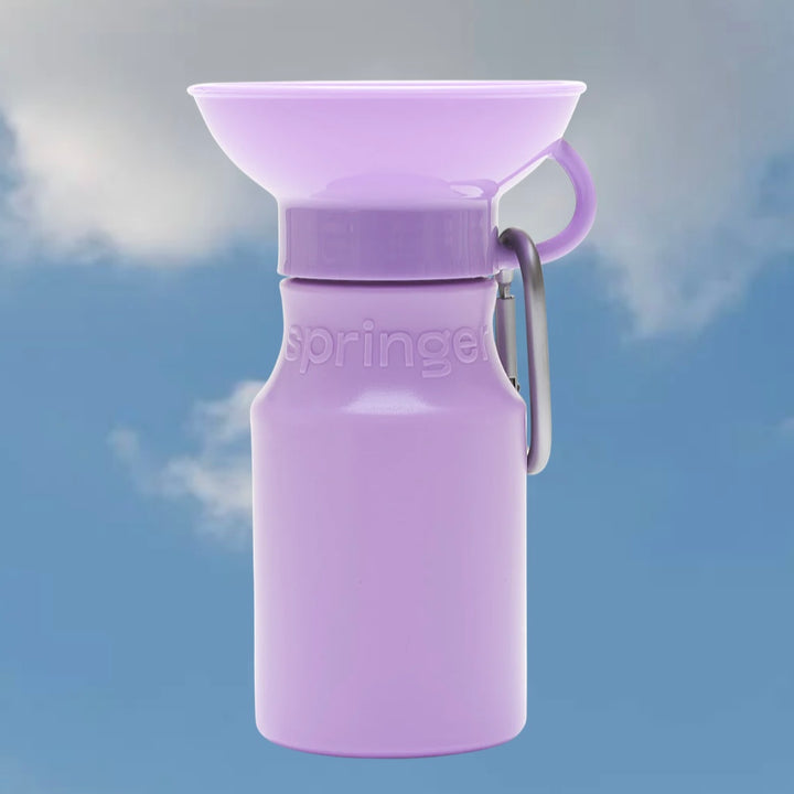 Mini Travel Water Bottle (15 oz)