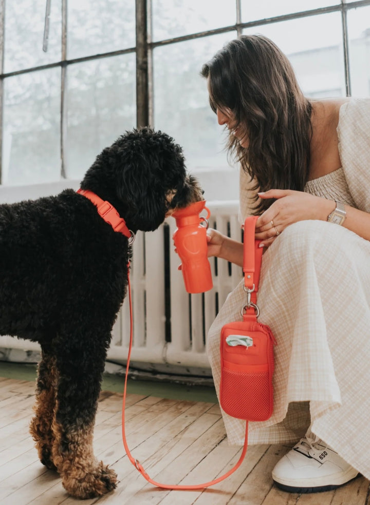 Walk Bag + Dog Leash Set