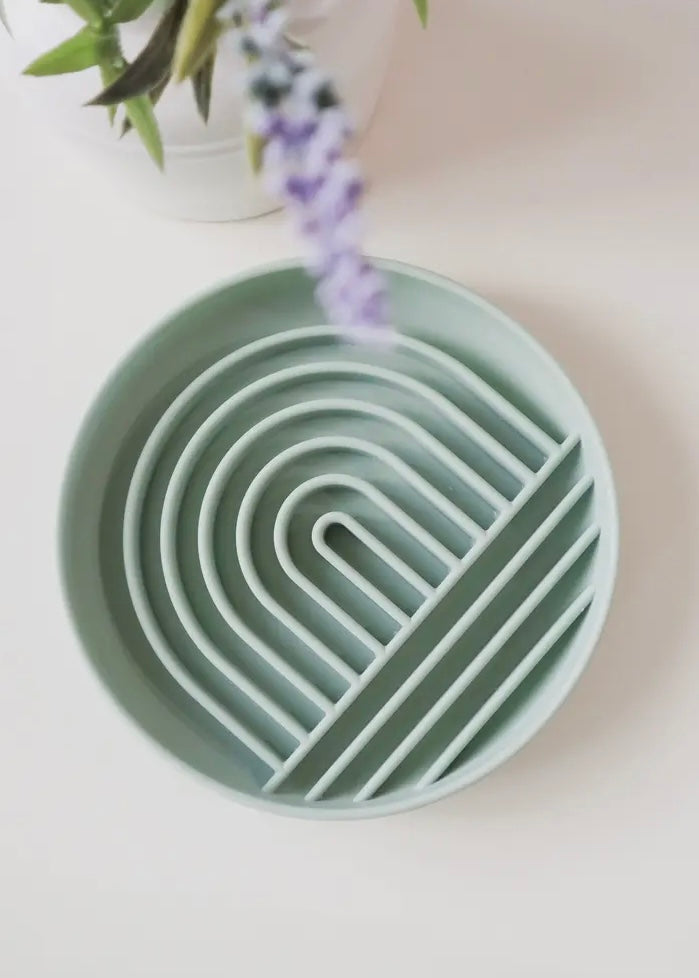 Rainbow Slow Feeder