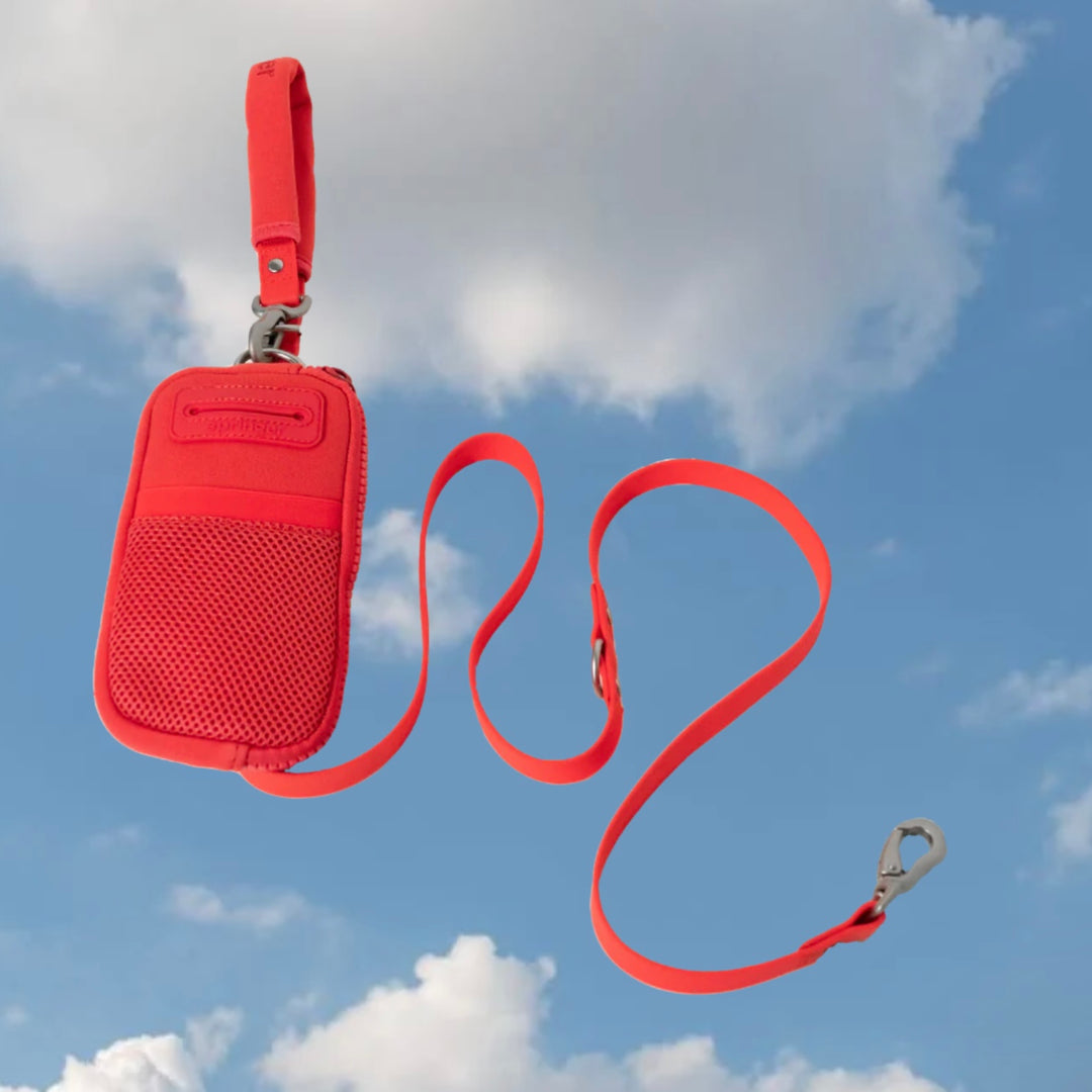 Walk Bag + Dog Leash Set